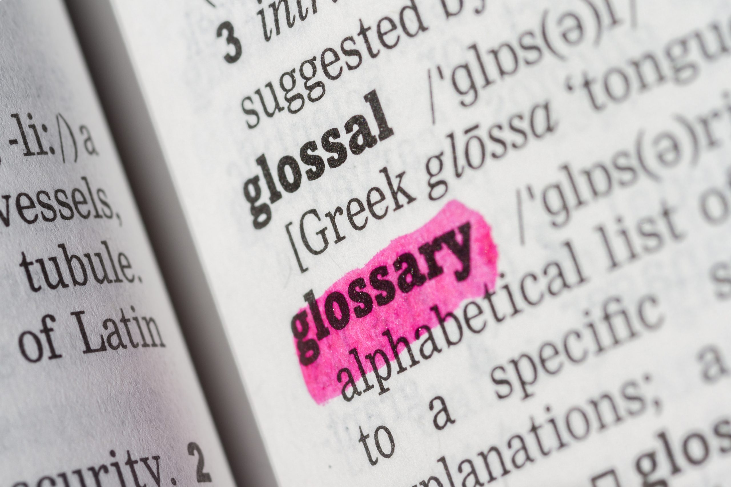 GLOSSARY MEANS MEANING visual data 8