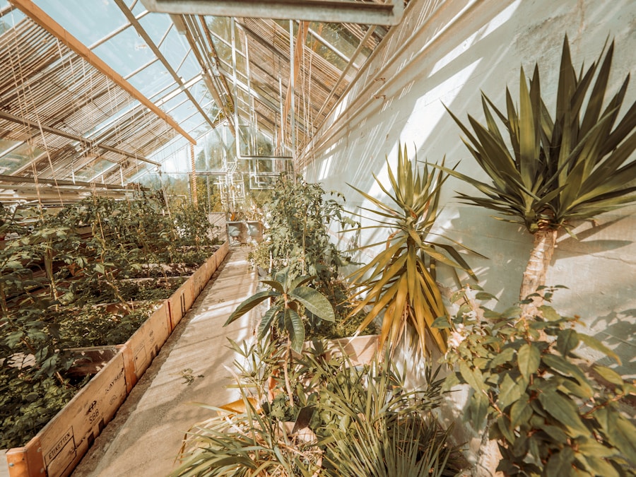 From Seed to Success: Nurturing Growth in Your Career